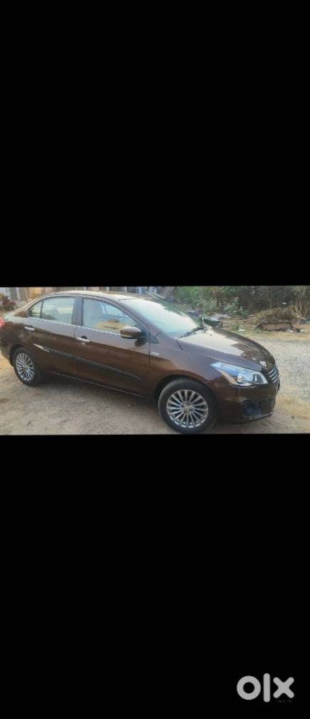 Maruti Ciaz 2024 Cng Automatic - Almost New