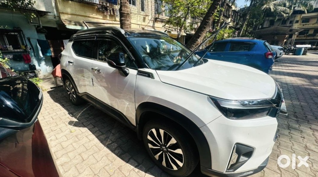 Honda Elevate 2019 Cng Automatic