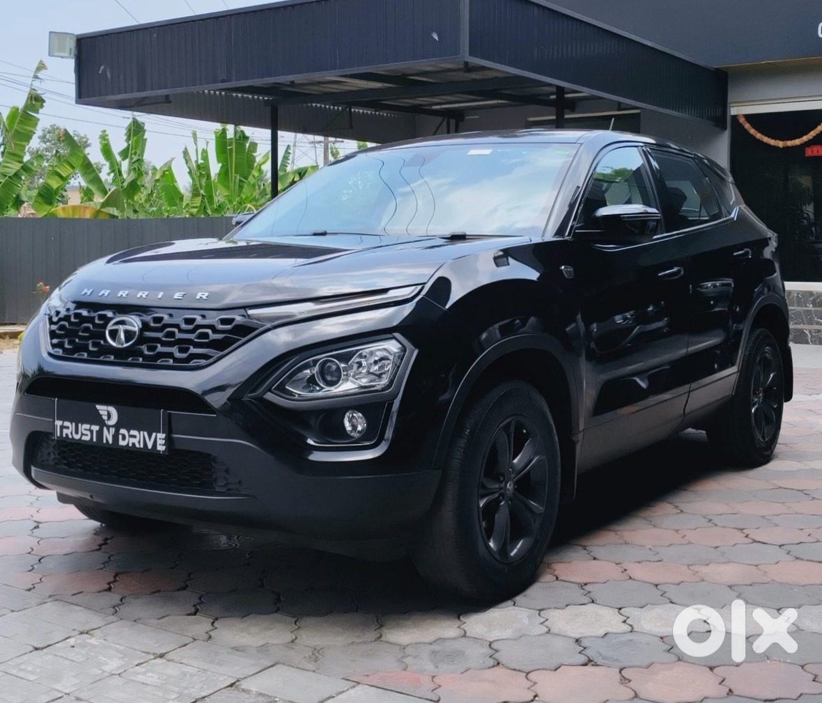 Tata Harrier 2019 - Bought New Car