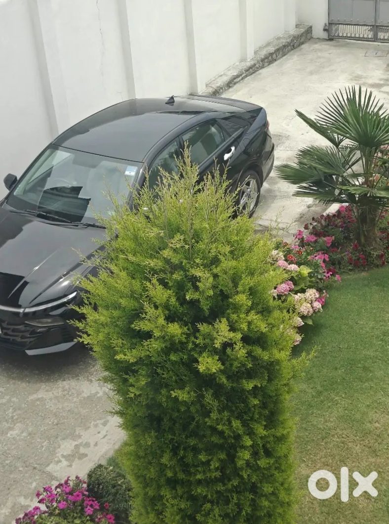 2019 Hyundai New Verna Petrol