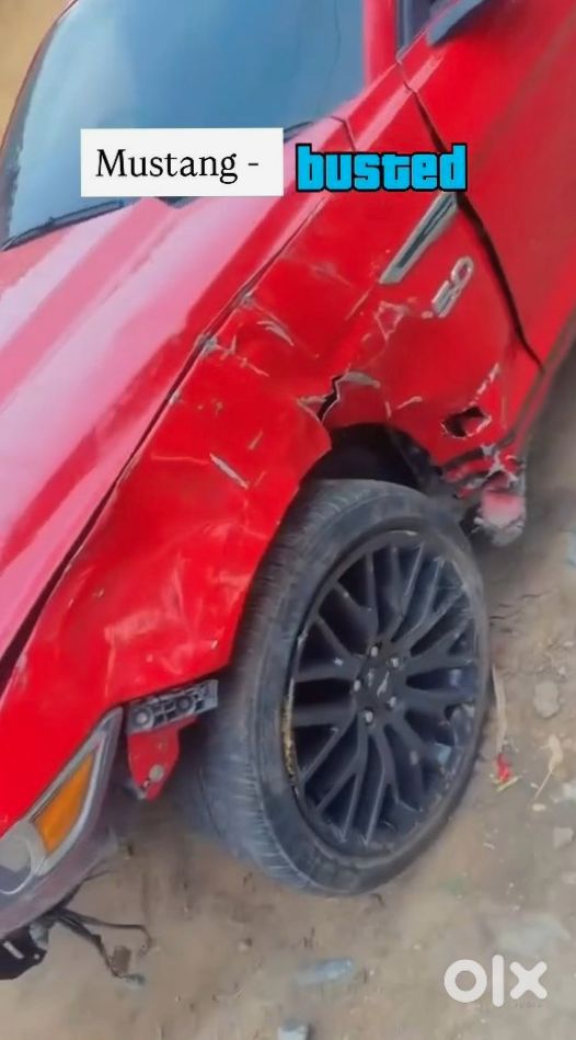 2019 Ford Mustang Cng Automatic