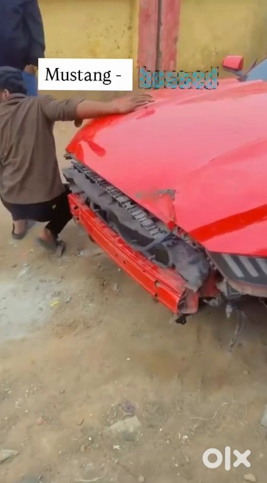 2019 Ford Mustang Cng Automatic