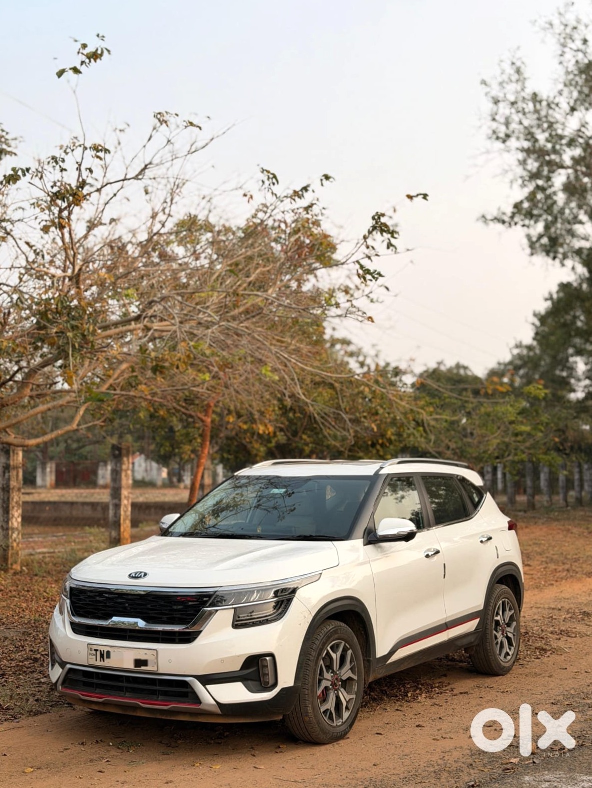 Kia Seltos 2024 Diesel Automatic