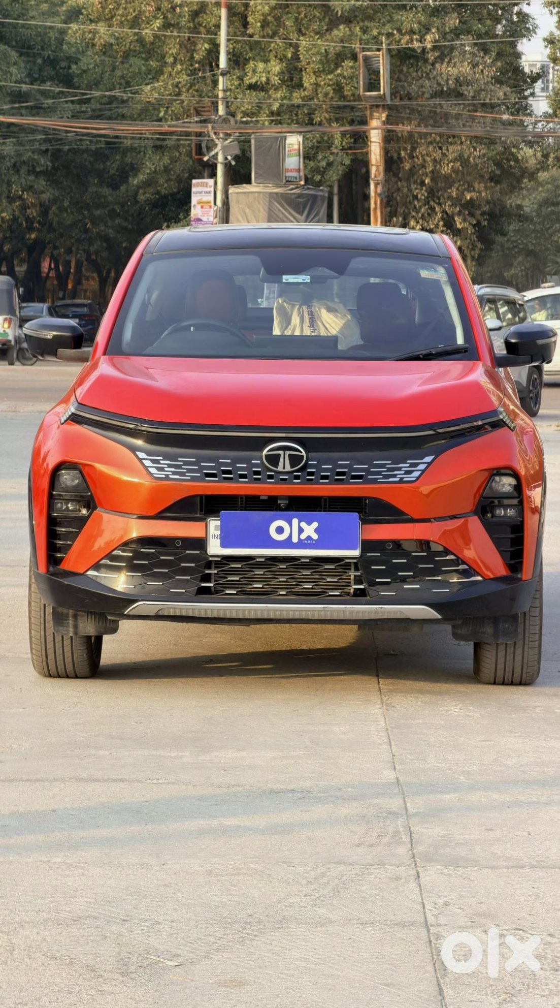 2024 Tata Curvv Cng Automatic - Just Bought