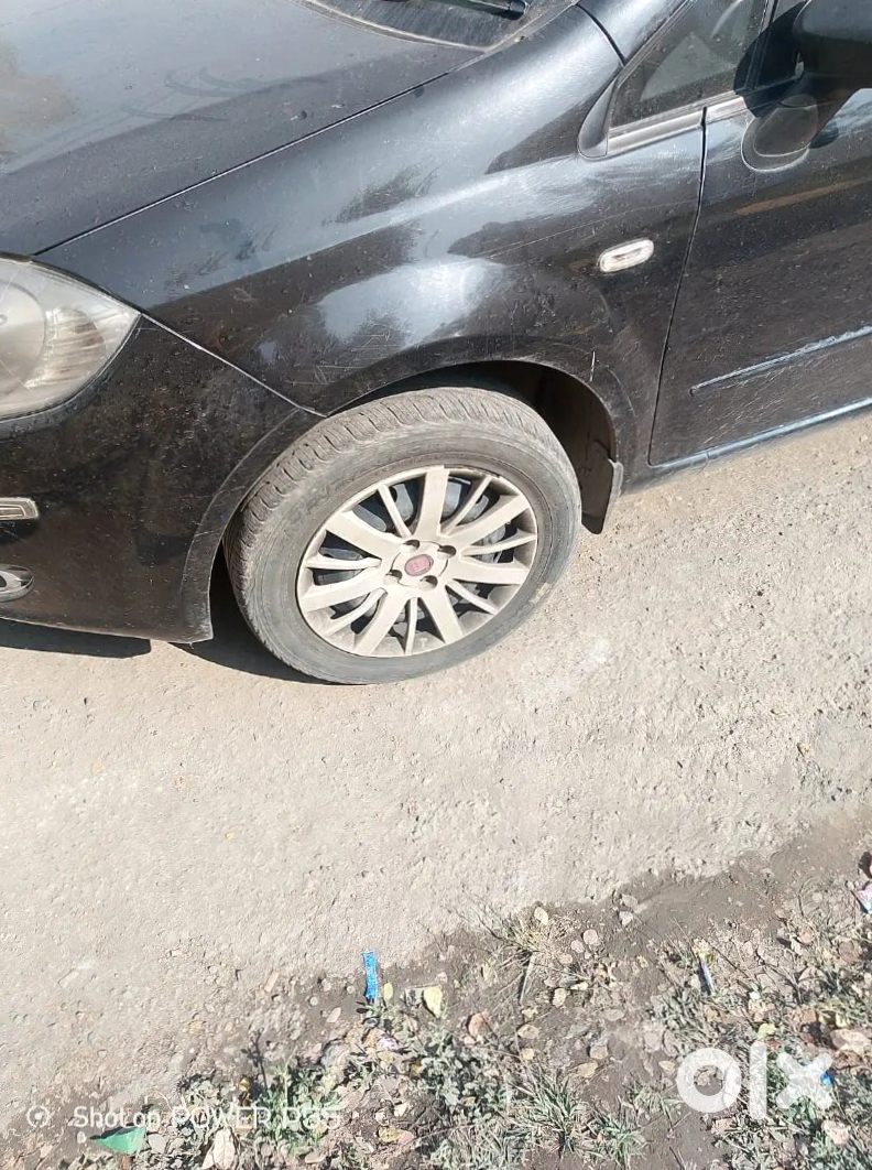 Fiat Linea For Sale - Shifting City