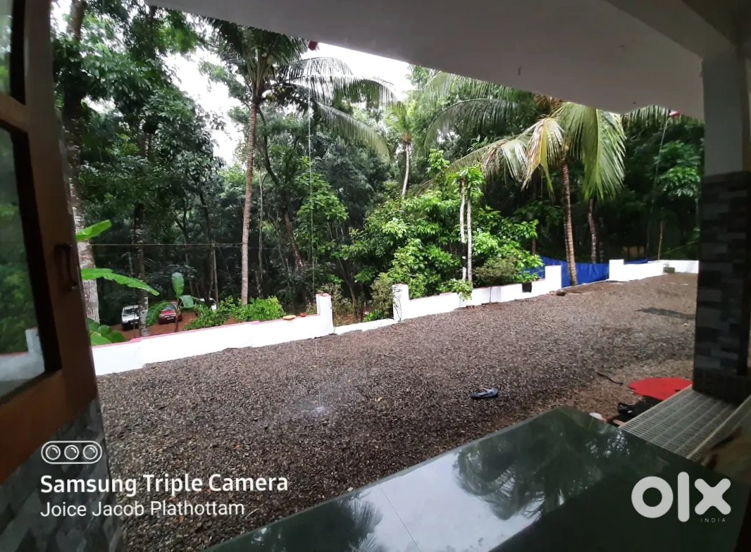 Maruti 800 Automatic - Reliable & Cheap