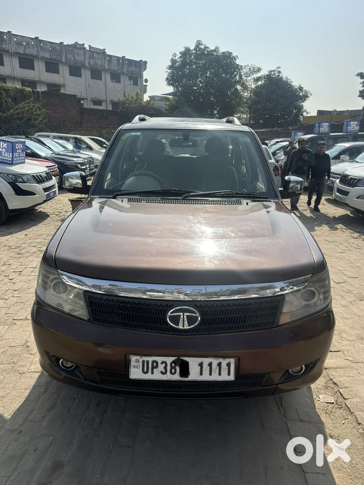 Safari Storme 2016 Petrol