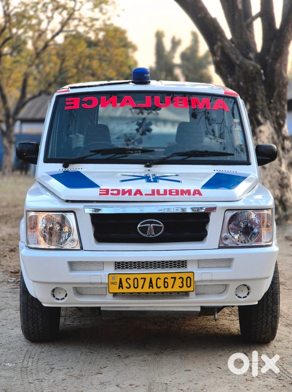 Sumo Gold Family Vehicle