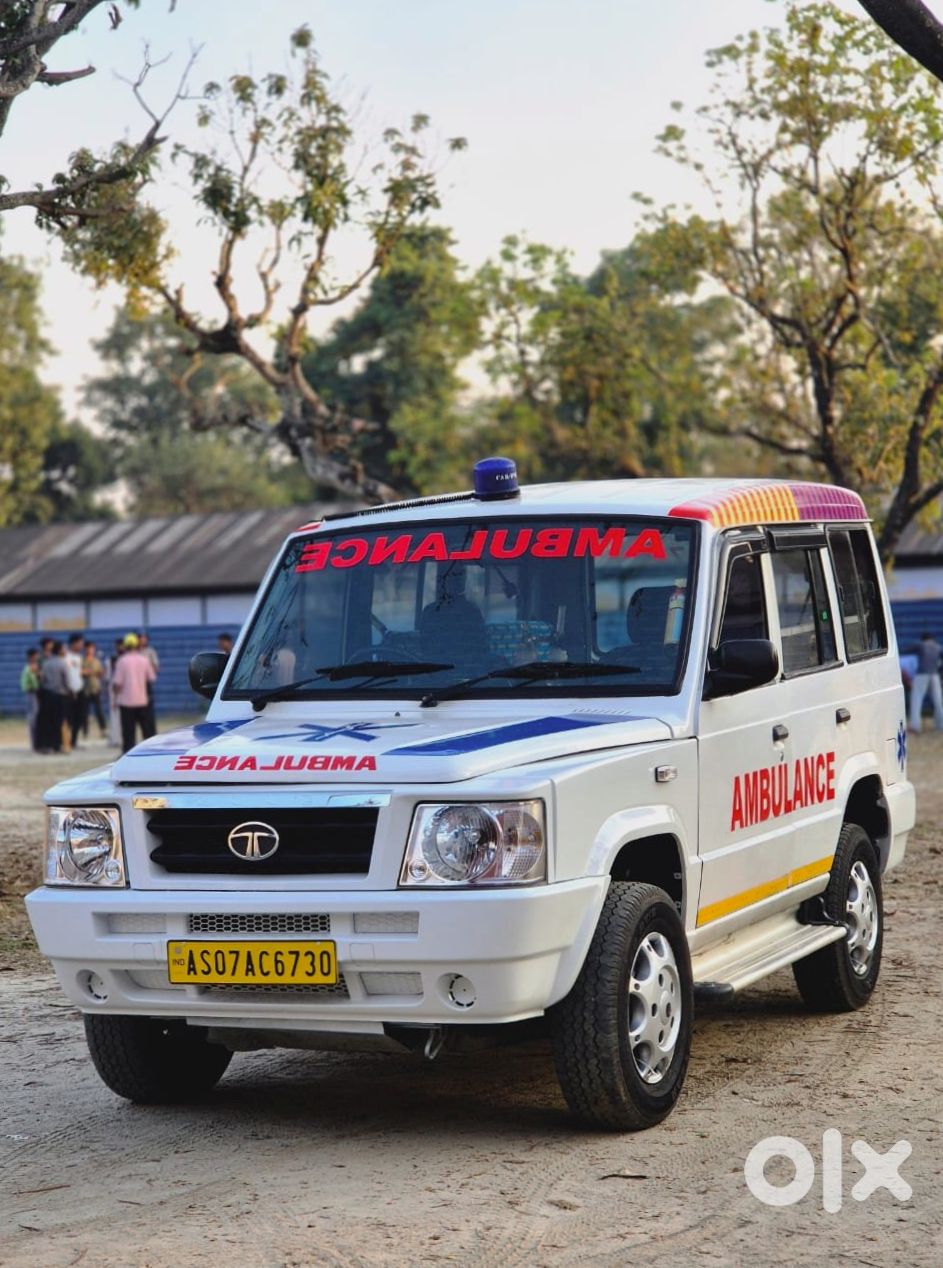 Sumo Gold Family Vehicle