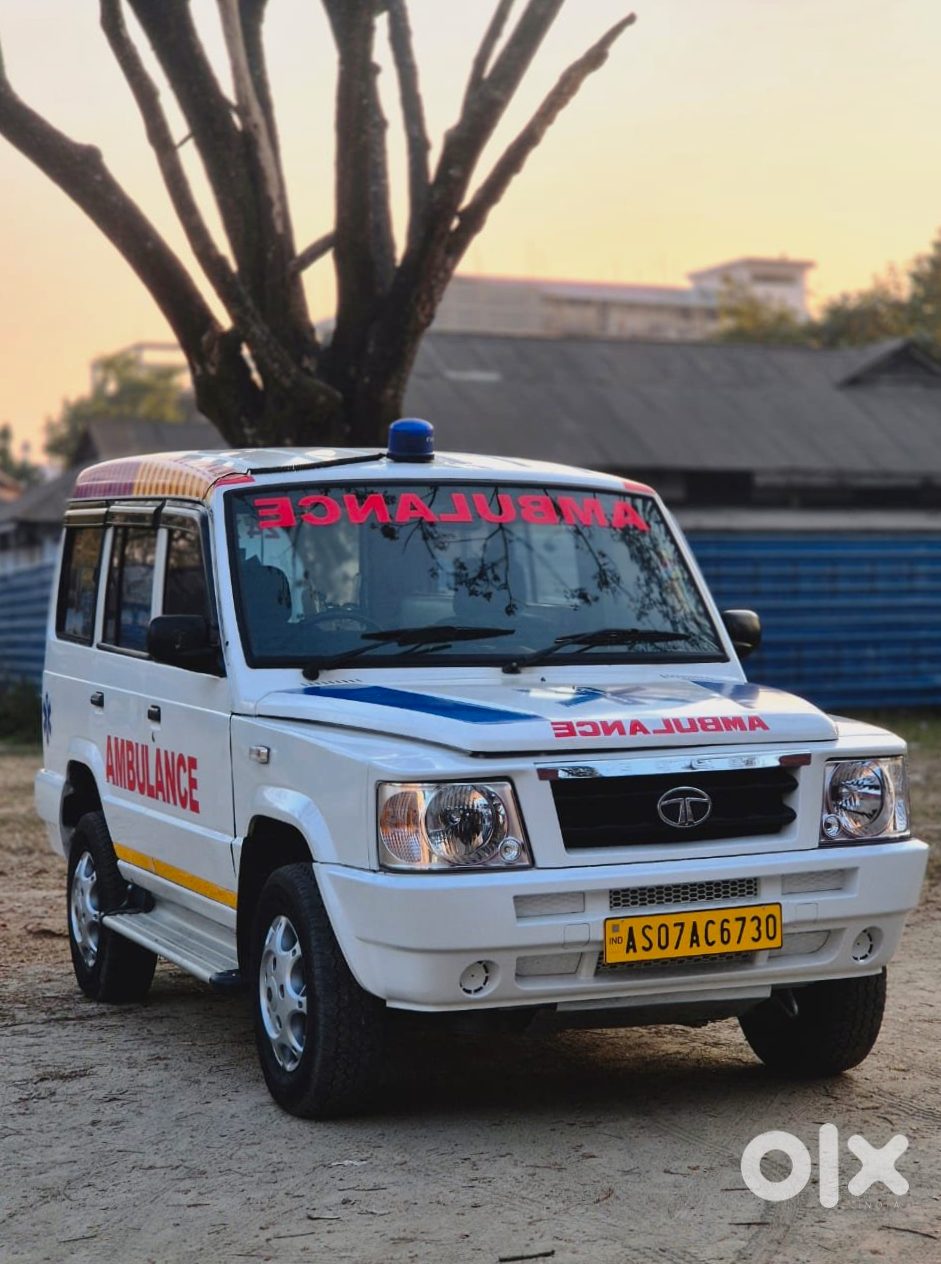 Sumo Gold Family Vehicle