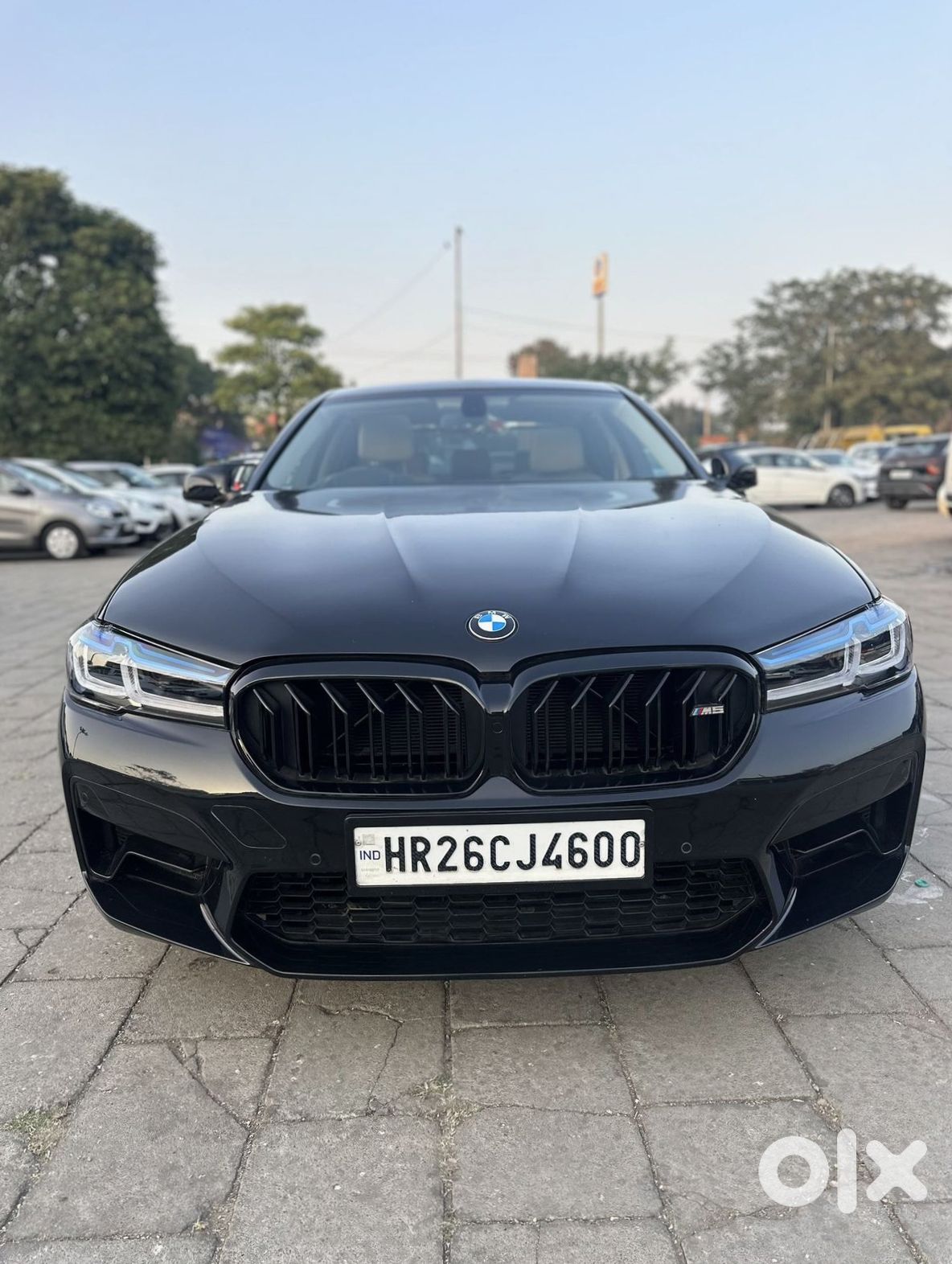 Bmw 5 Series 2024 Manual