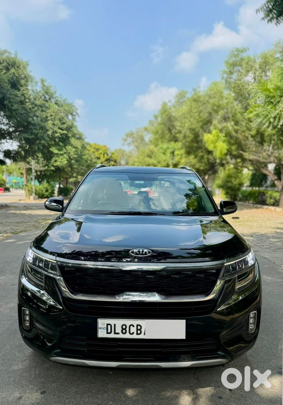 2025 Kia Seltos - New Car Alert!