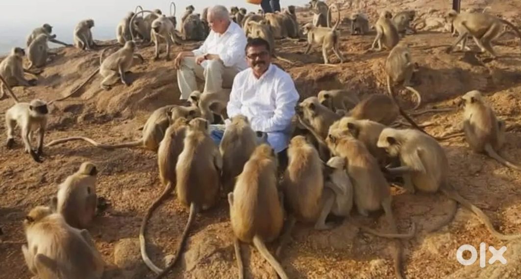 Alcazar 2021 Petrol Manual 7 Seater