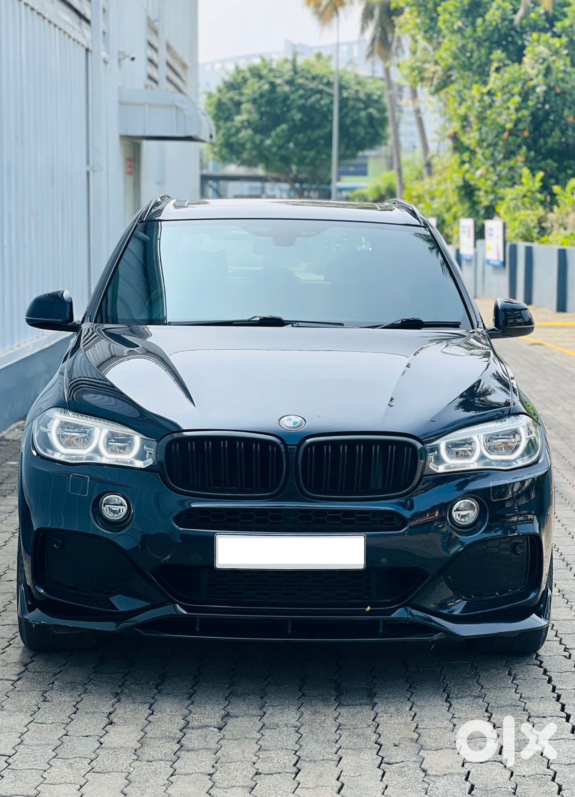 Bmw X5 2022 Luxury Suv