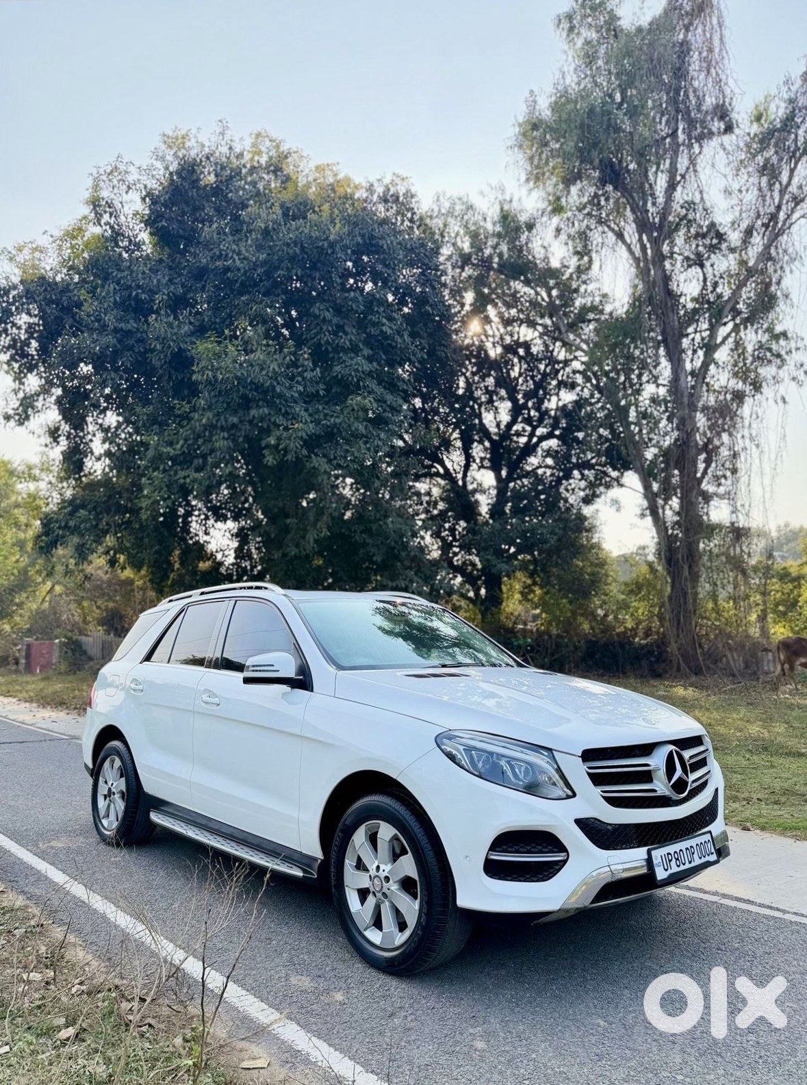Gle Class Luxury Suv - Family Car