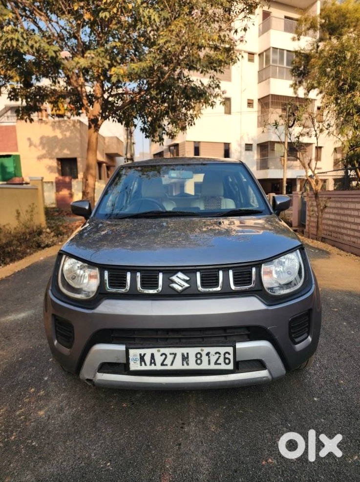 Maruti Suzuki Ignis 2019 Electric