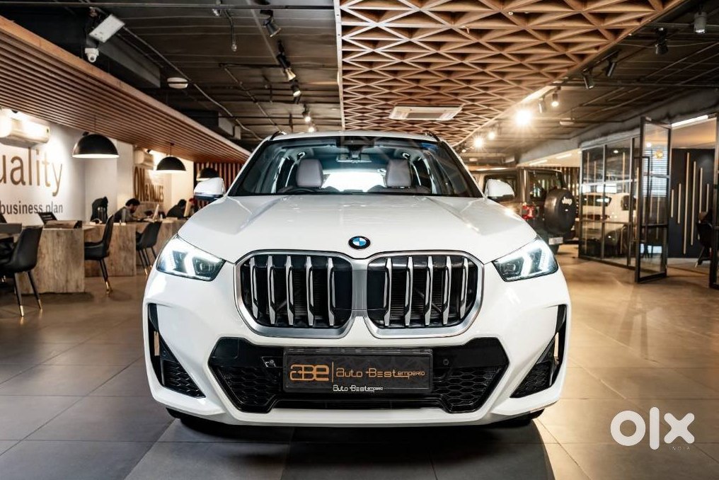 Bmw X1 2019 Petrol
