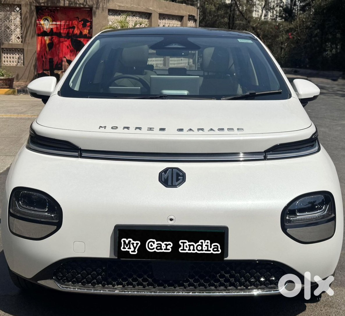 Mg Windsor Ev - Barely Used