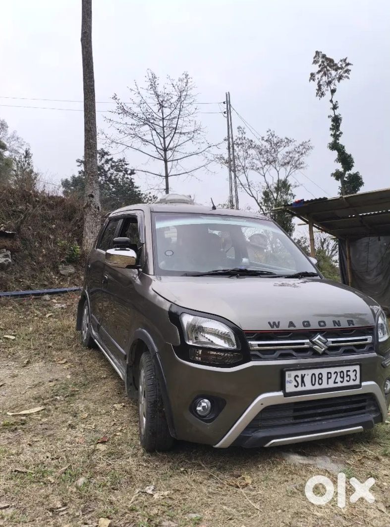 2014 Maruti Flex Fuel