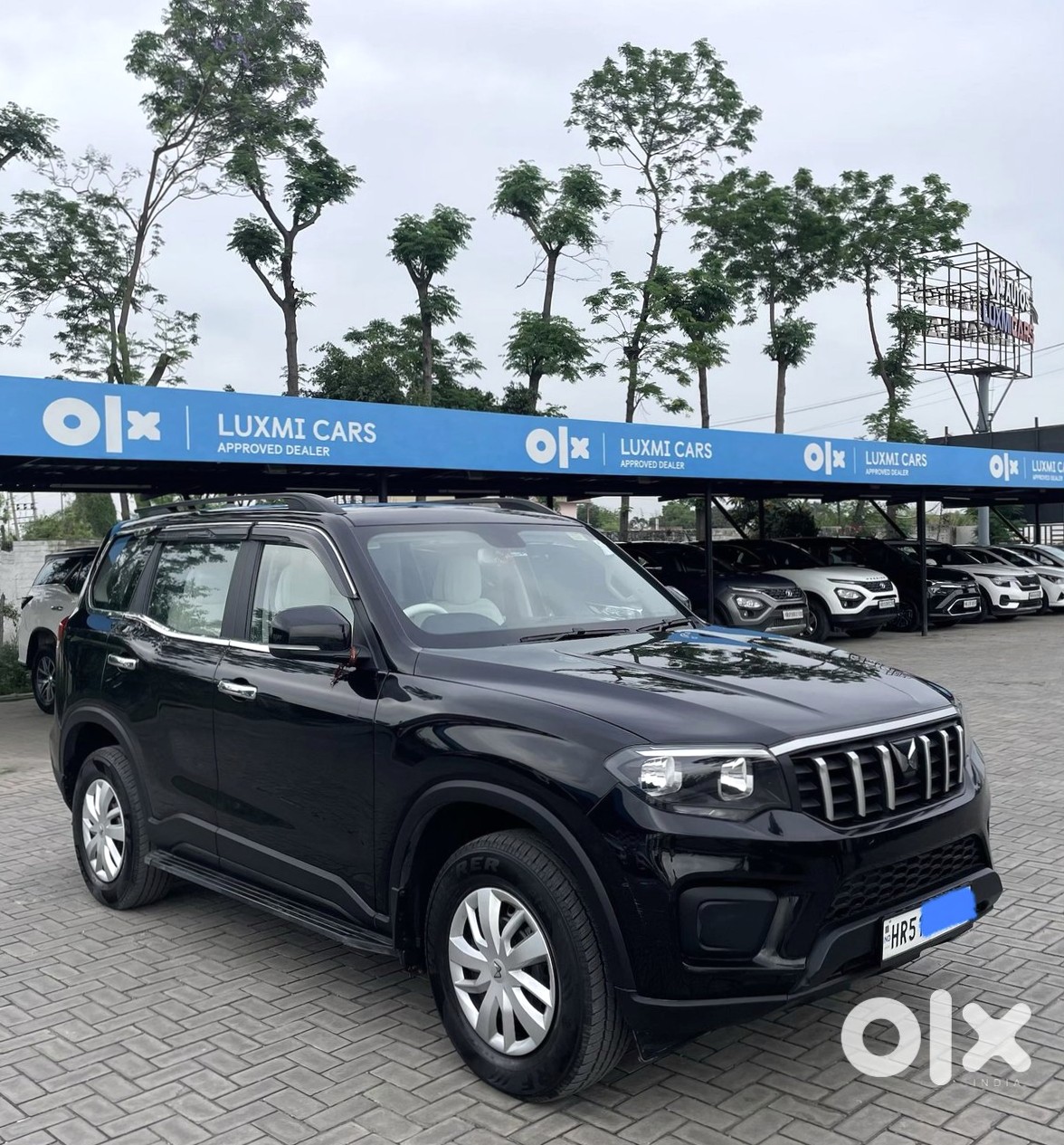 Urgent: 2023 Mahindra Scorpio-n Diesel Manual