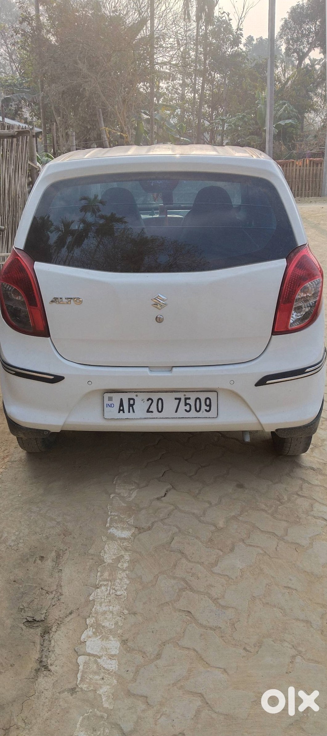 Maruti Alto 800 2024