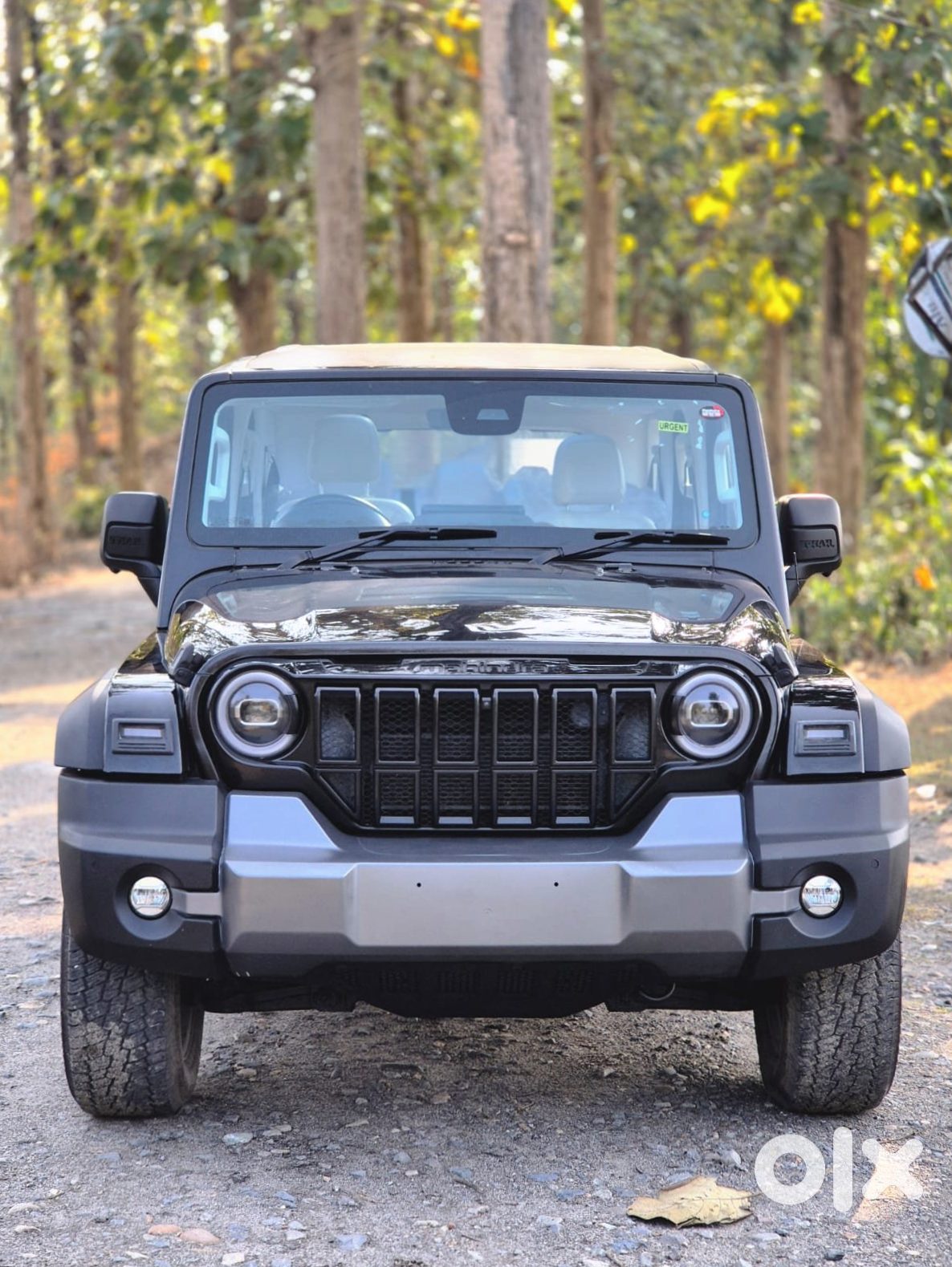 2023 Mahindra Thar Roxx - Cng Manual
