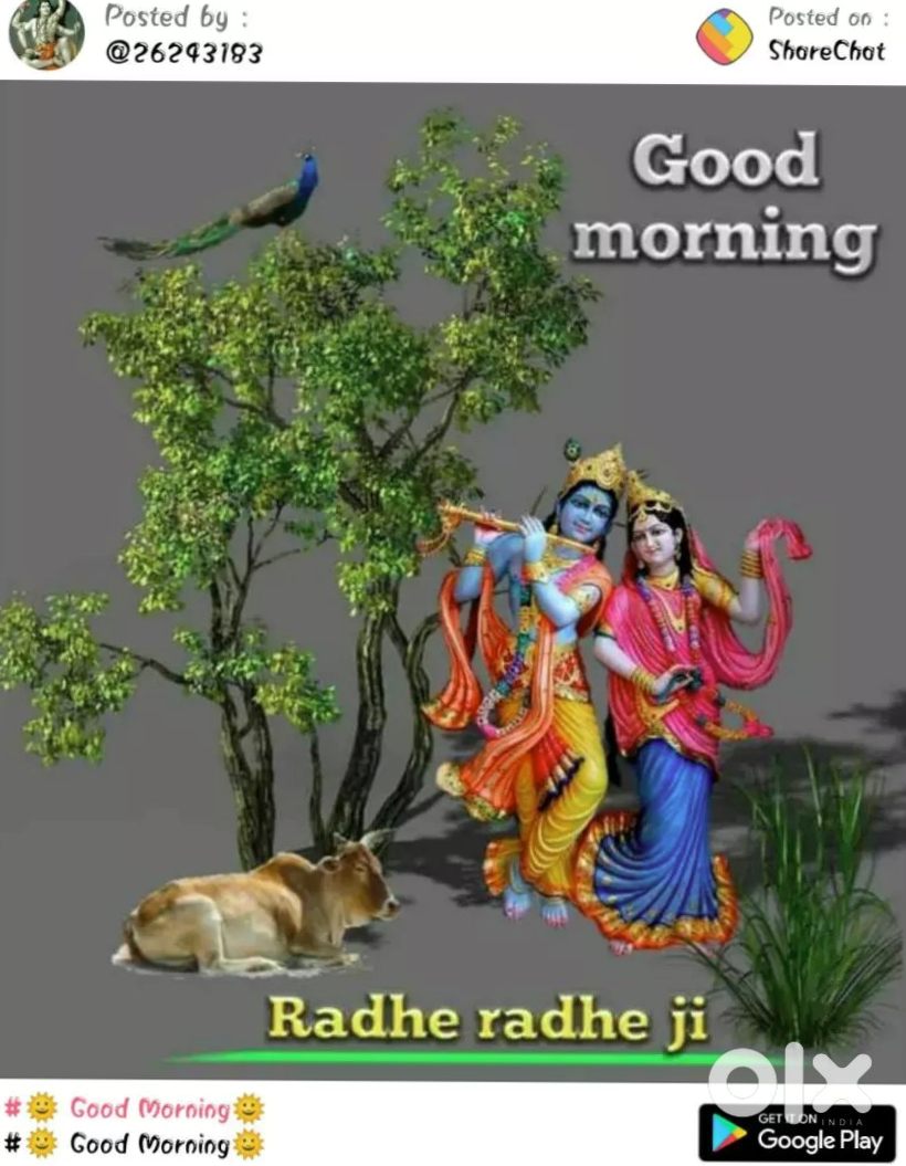 Swift 2018 Good Condition