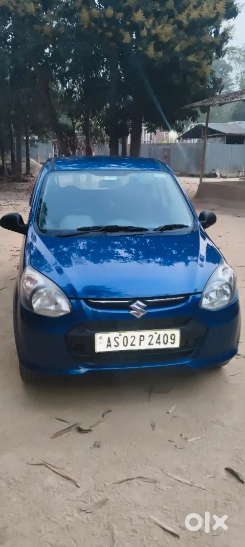 Alto 800 For Sale