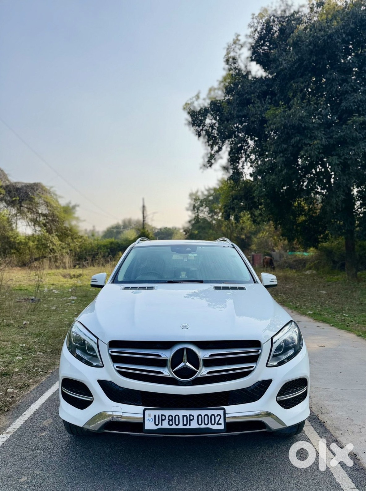 Mercedes Gle Class 2017 Cng