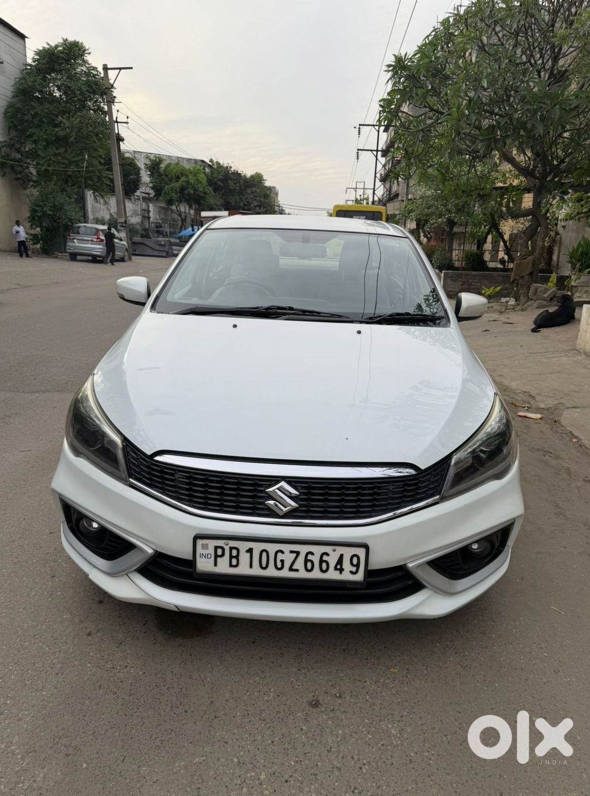Ciaz For Immediate Sale
