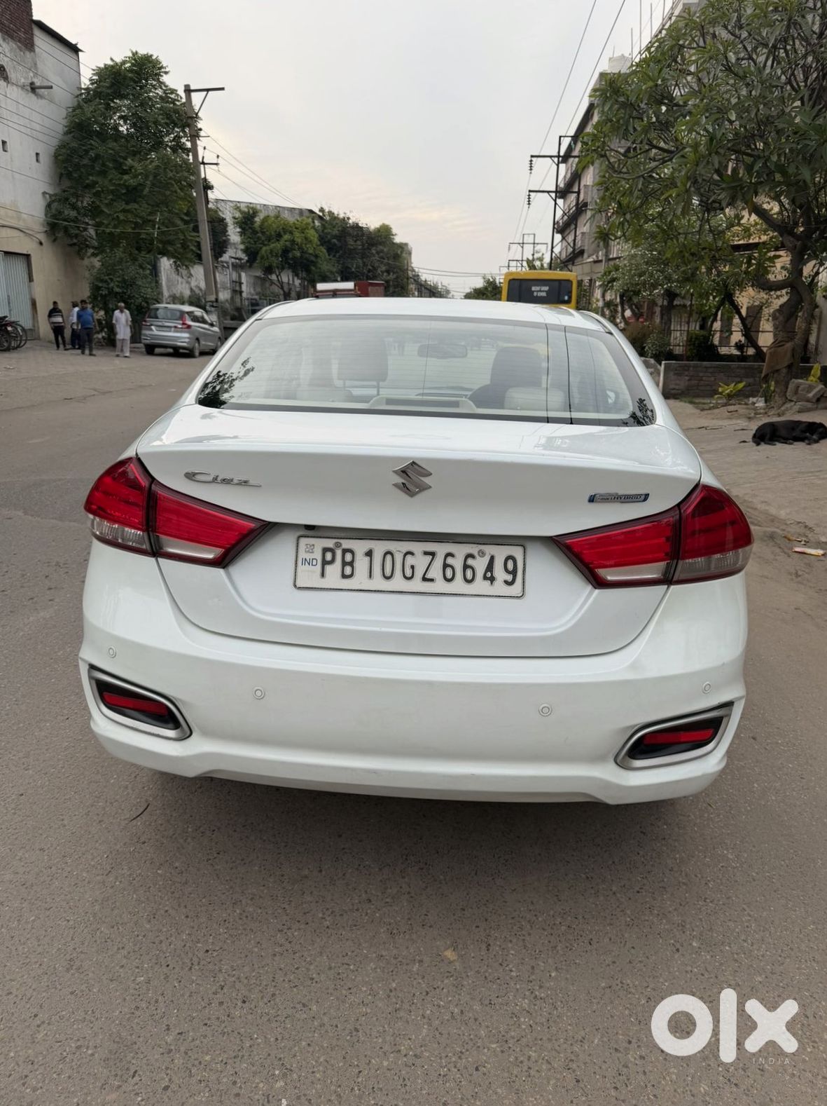 Ciaz For Immediate Sale
