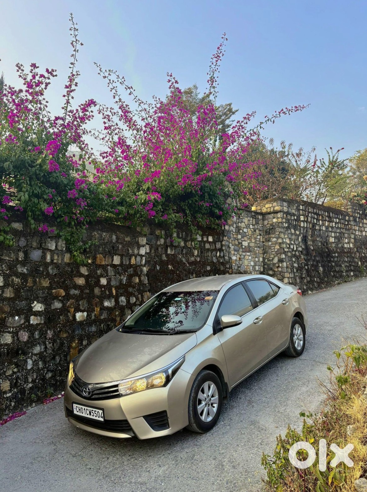 Toyota Corolla Altis Cng 2016