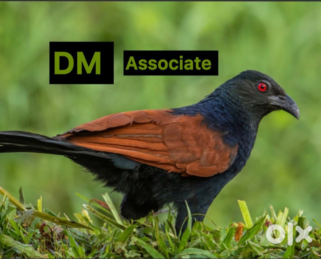 2023 Maruti Eeco - Nearly New