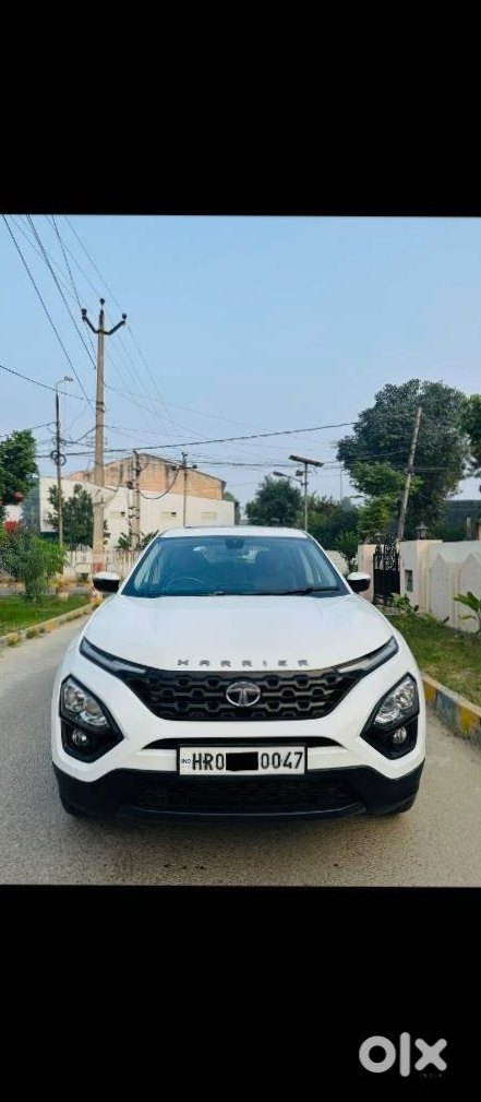 2024 Tata Harrier - Just 12k Km!