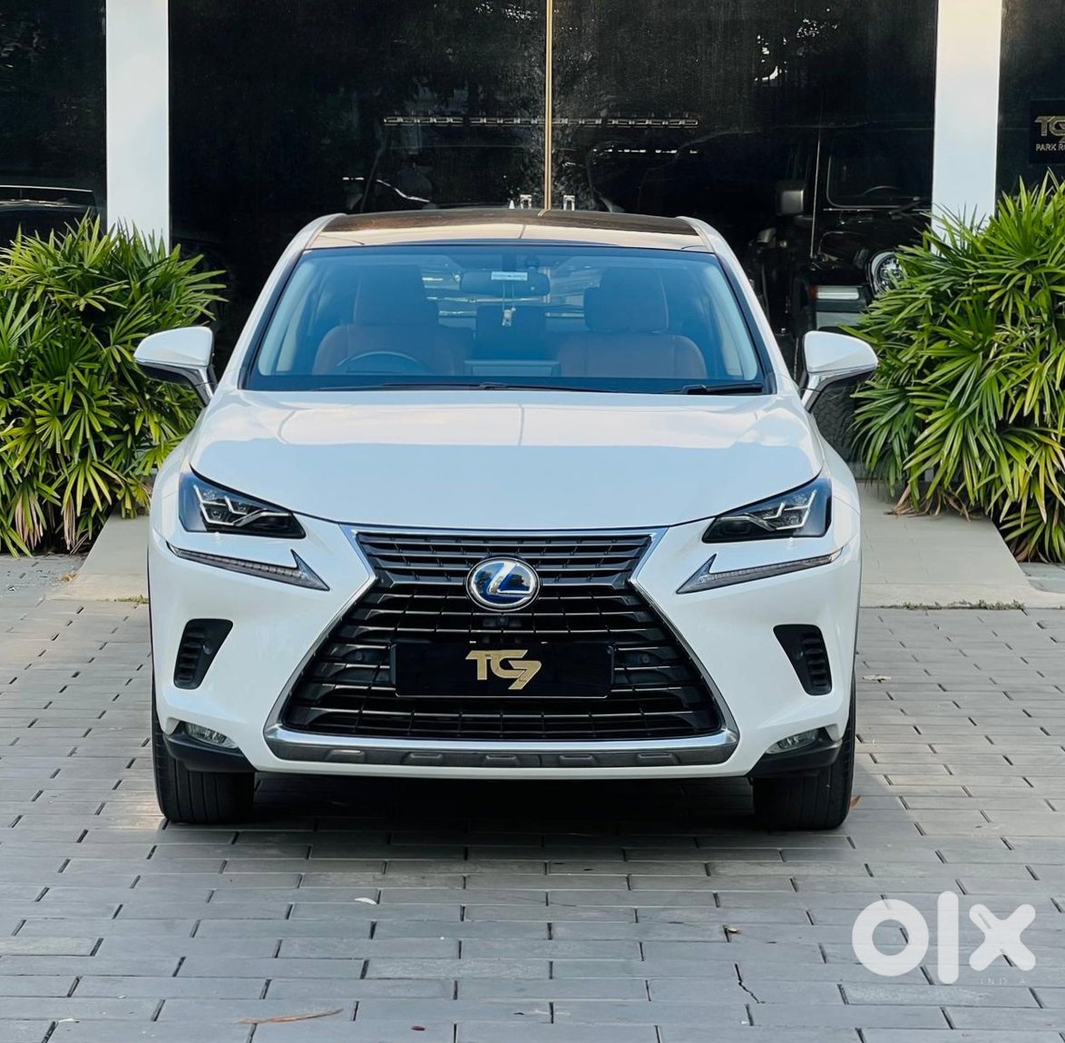 2018 Lexus Nx - Premium Cng Automatic